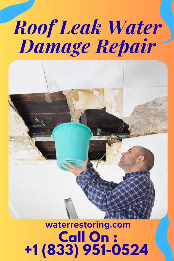 Roof Leak Water Damage Repair in Holly Springs, GA